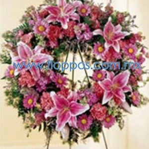 img310.jpg img310.jpg