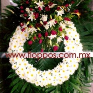 img437.jpg img437.jpg