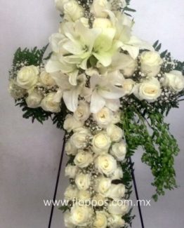 CRUZ 50 ROSAS CRUZ 50 ROSAS