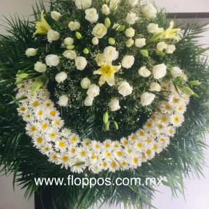 D6E19152-12E4-4D22-B7AA-77B2F82EBE77