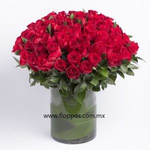 50 ROSAS ROJAS