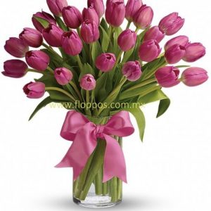 30 TULIPANES ROSA
