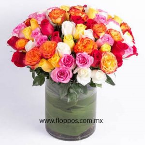 50 ROSAS DE COLORES