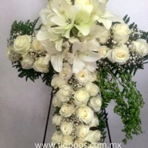 CRUZ 50 ROSAS