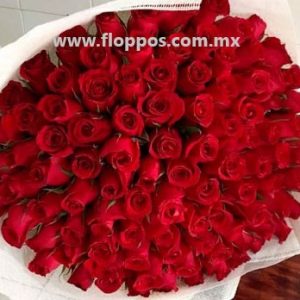 100 ROSAS EN PAPEL