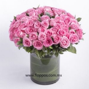100 ROSAS ROSA EN JARRON