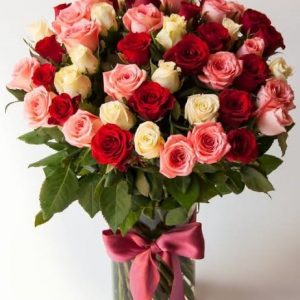 50 ROSAS CONQUISTA