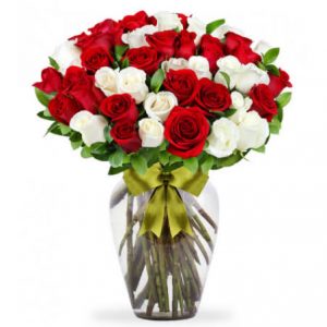 50 ROSAS ROJO Y BLANCO