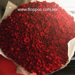 500 ROSAS