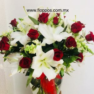 CASABLANCAS + 24 ROSAS
