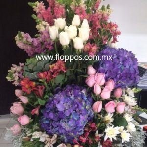 24 ROSAS + HORTENCIAS