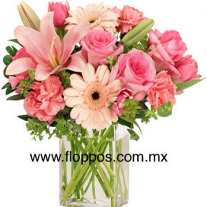 4F942451-8A89-4140-86F8-C29E7B522F89
