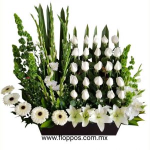 ARREGLO FUNEBRE 25 ROSAS