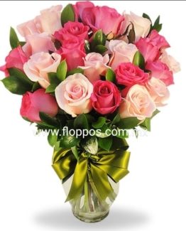 24 ROSAS FIUSHA Y ROSA JARRON