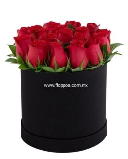 CILINDRO 15 ROSAS ROJAS