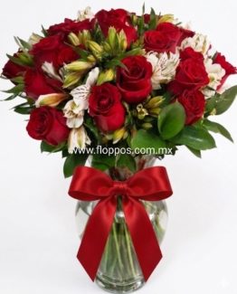 24 ROSAS ROJAS JARRON