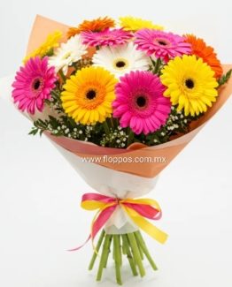 RAMO 10 GERBERAS MIXTAS